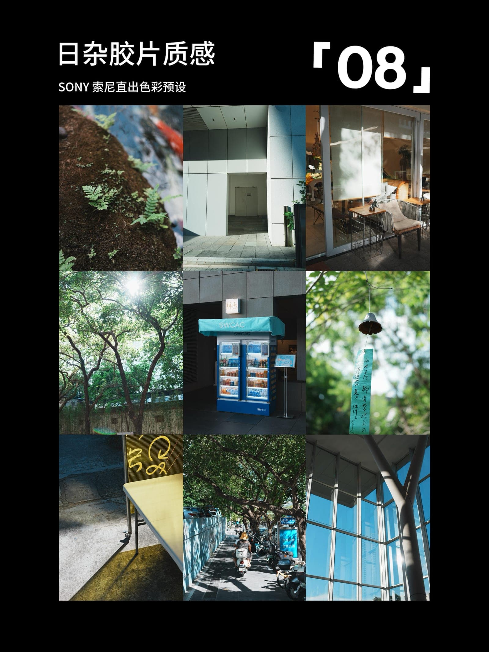 Sunday Magazine Sony Recipe cover